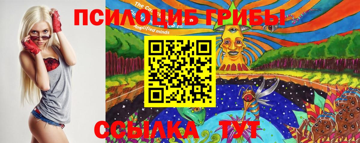 Усолье-Сибирское  Псилоцибиновые грибы Magic Shrooms  Вход с VPN 