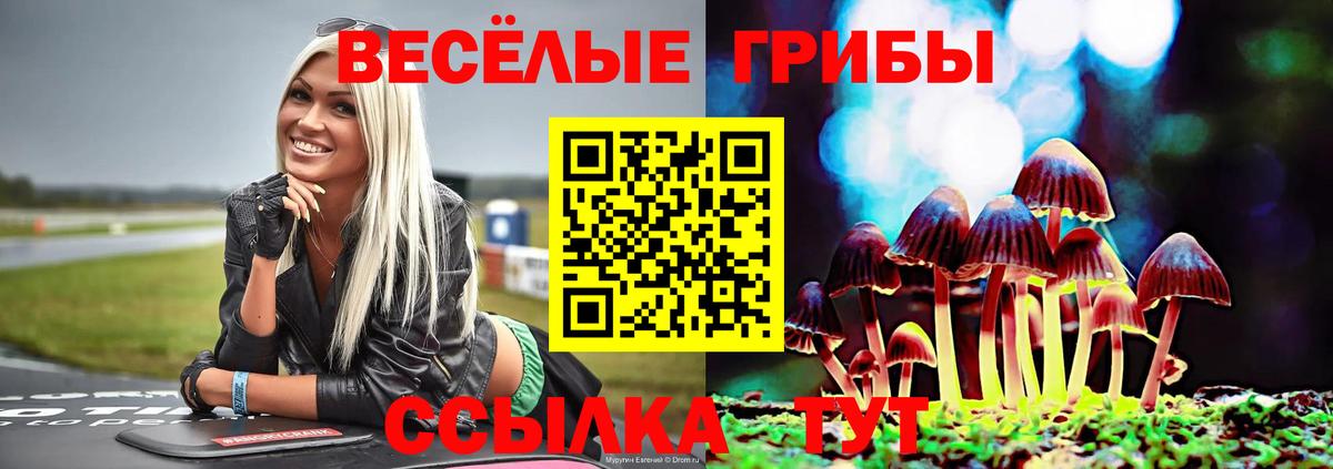 Галлюциногенные грибы мухоморы Усолье-Сибирское